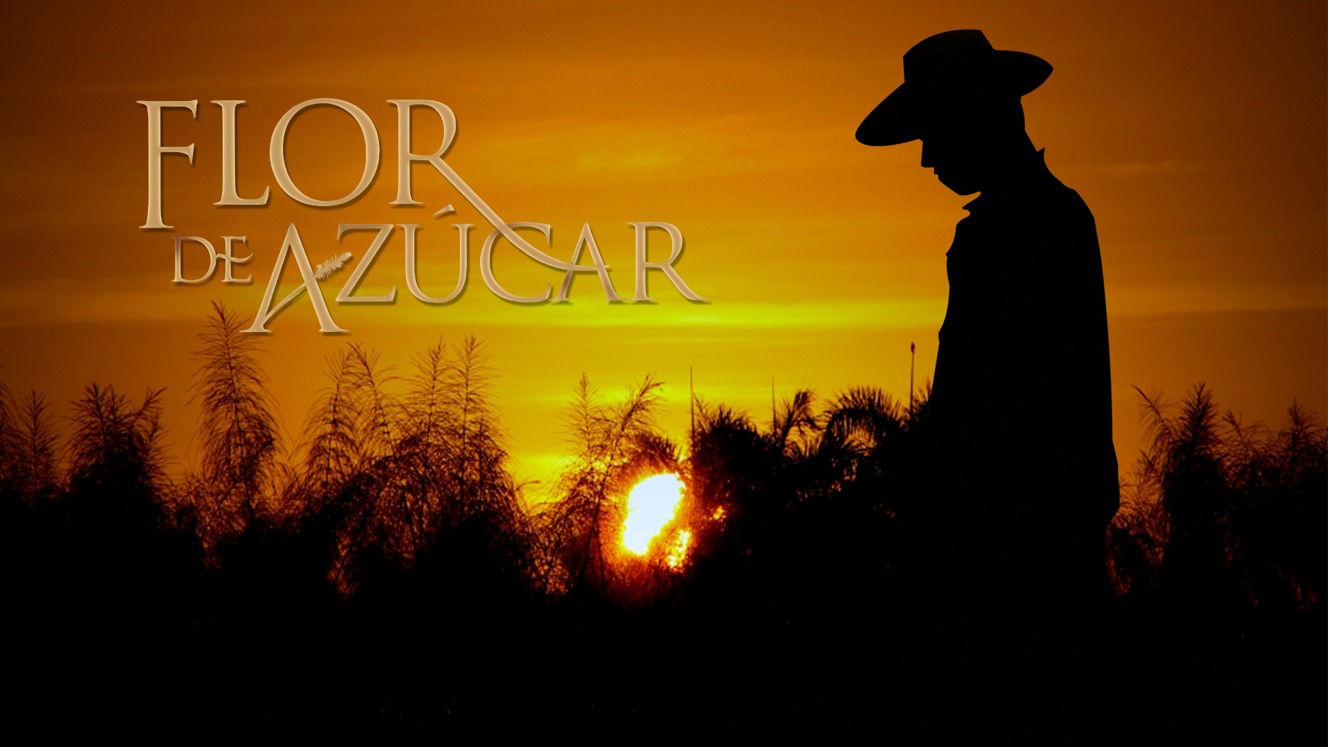Flor de Azúcar