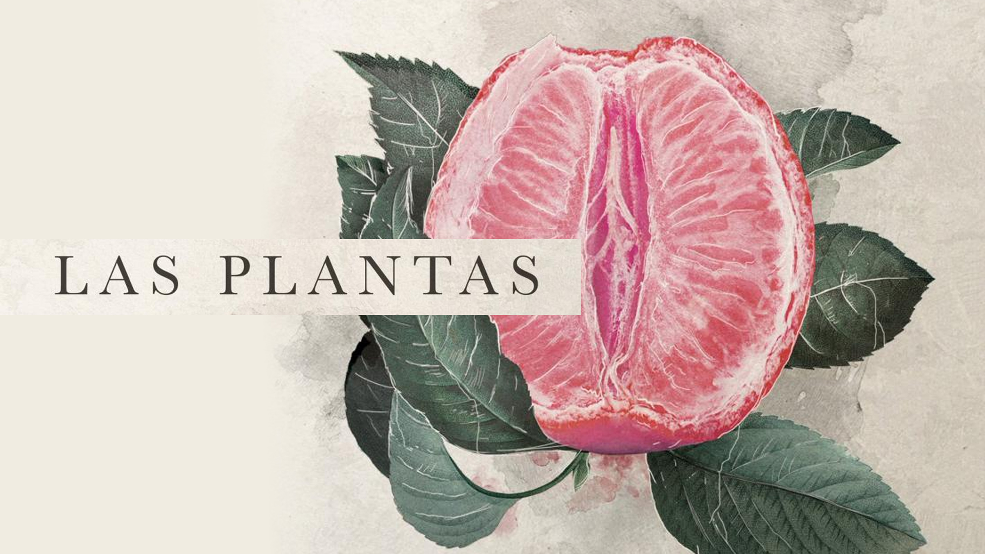 Las Plantas